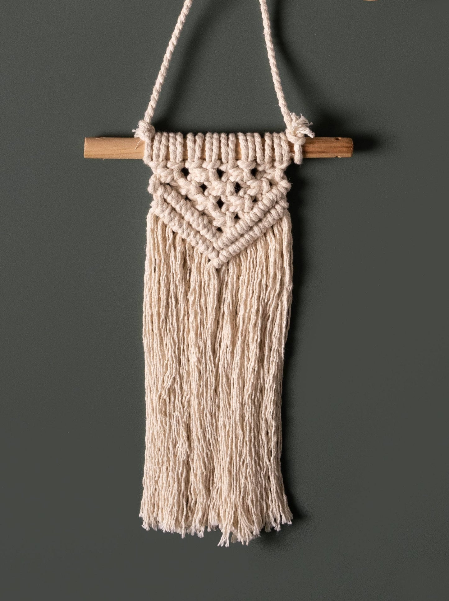 Small Macrame Wall Hanging