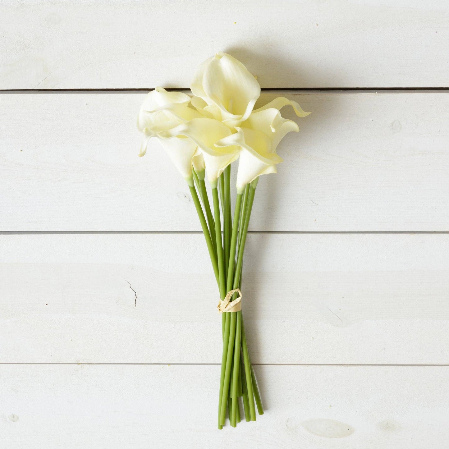 Cream Calla Lilies