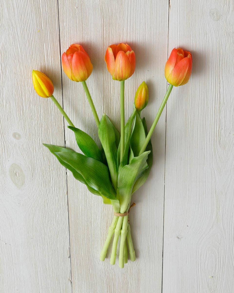 Real Feel Tulip, Tangerine