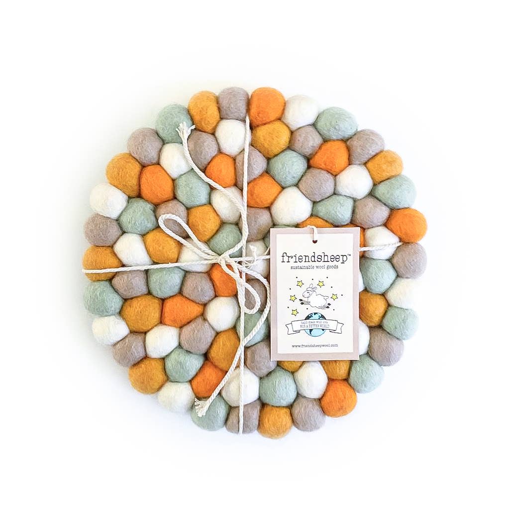 Friendsheep - Pumpkin Patch Eco Coasters and Trivets: Set of 4 - Eco Coasters