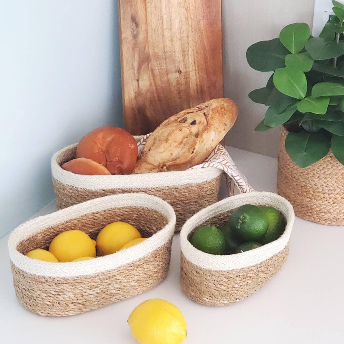 SMALL Handwoven Wicker Storage Basket • Savar Oval Bowl