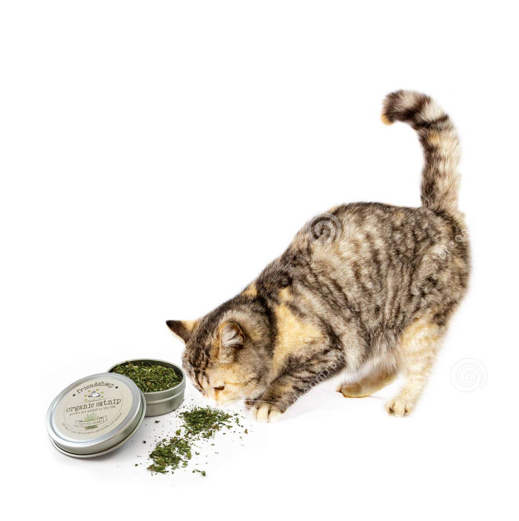 Organic Catnip Tin: Regular Tin