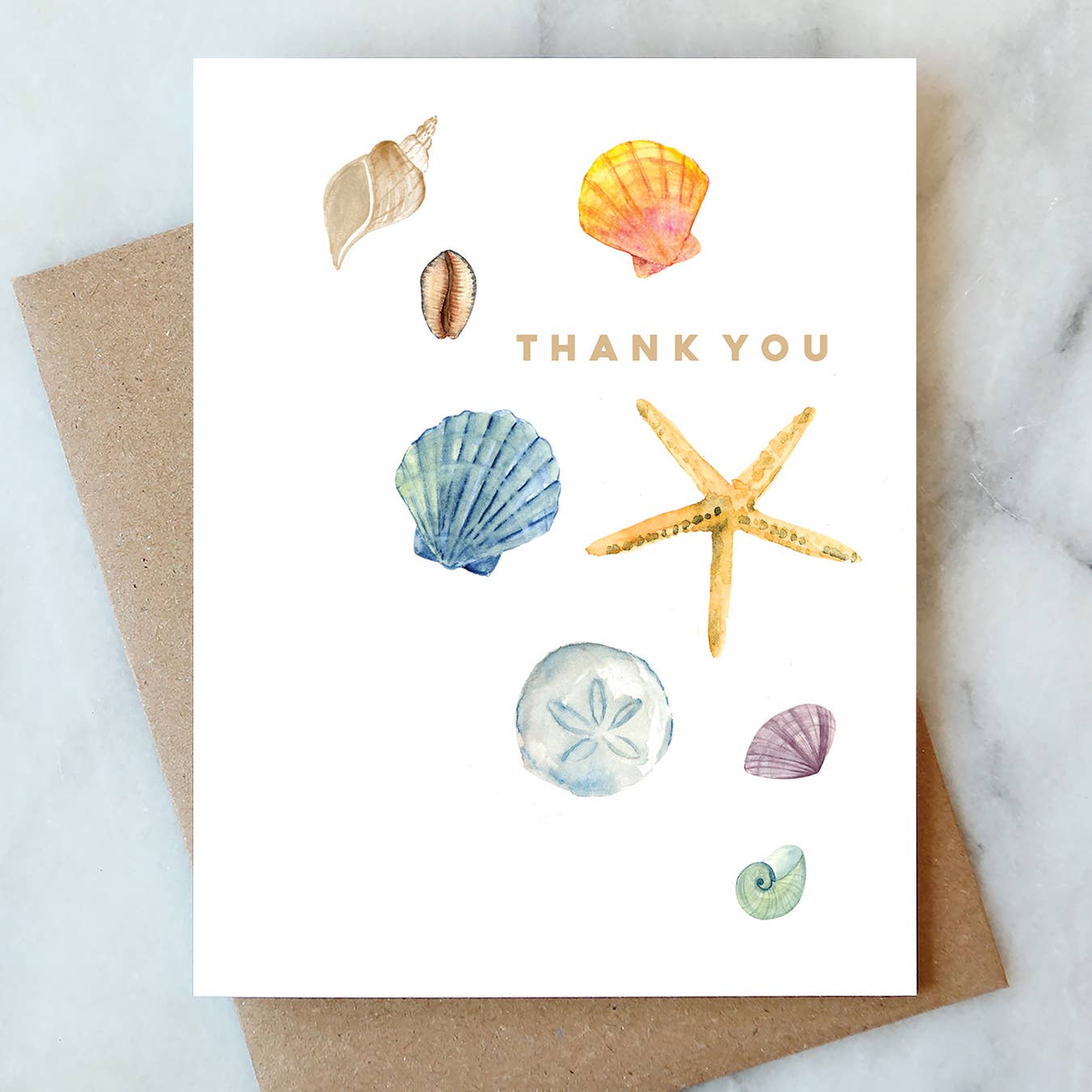 Abigail Jayne Design - Shells Thank You Greeting Card