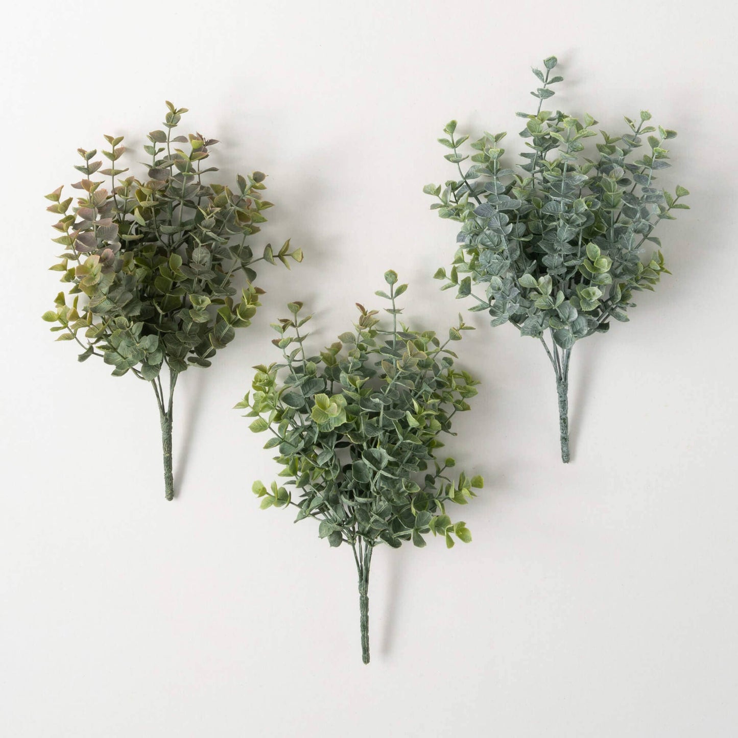 TWO TONE EUCALYPTUS BUSH