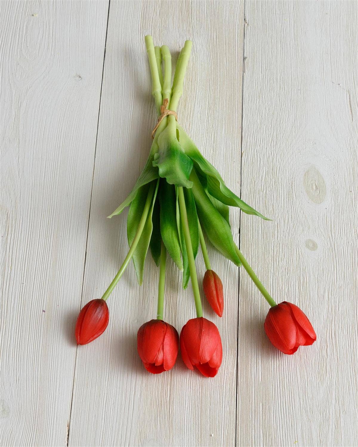 Real Feel Tulip, Red