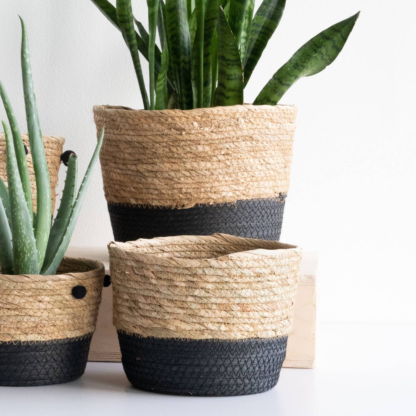 LARGE Aldis Black and Cattail Storage Gift Basket