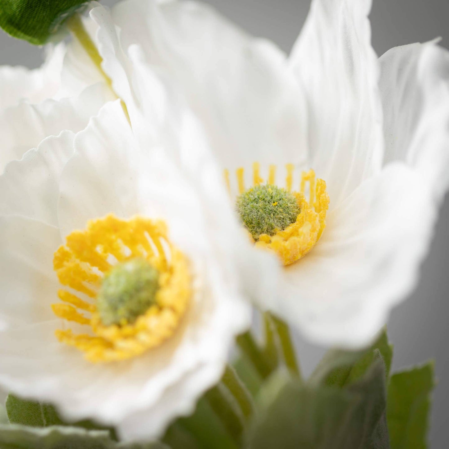 Sullivans Home Decor - White Poppy Bush