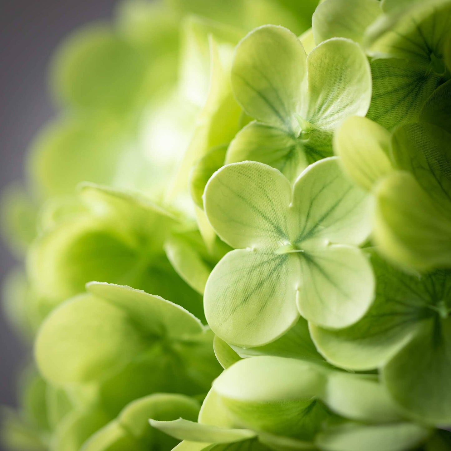 Sullivans Home Decor - Freshcut® Vivid Green Spring H