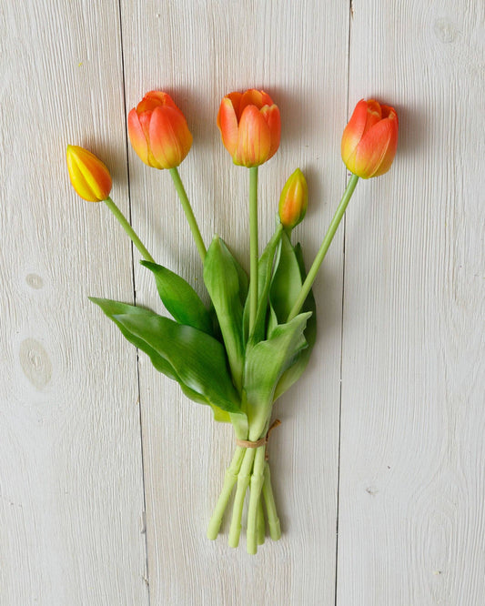 Real Feel Tulip, Tangerine