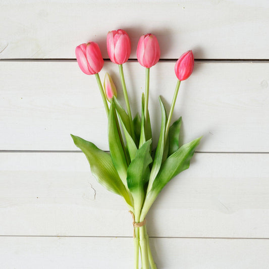 Real Feel Tulip, Pink