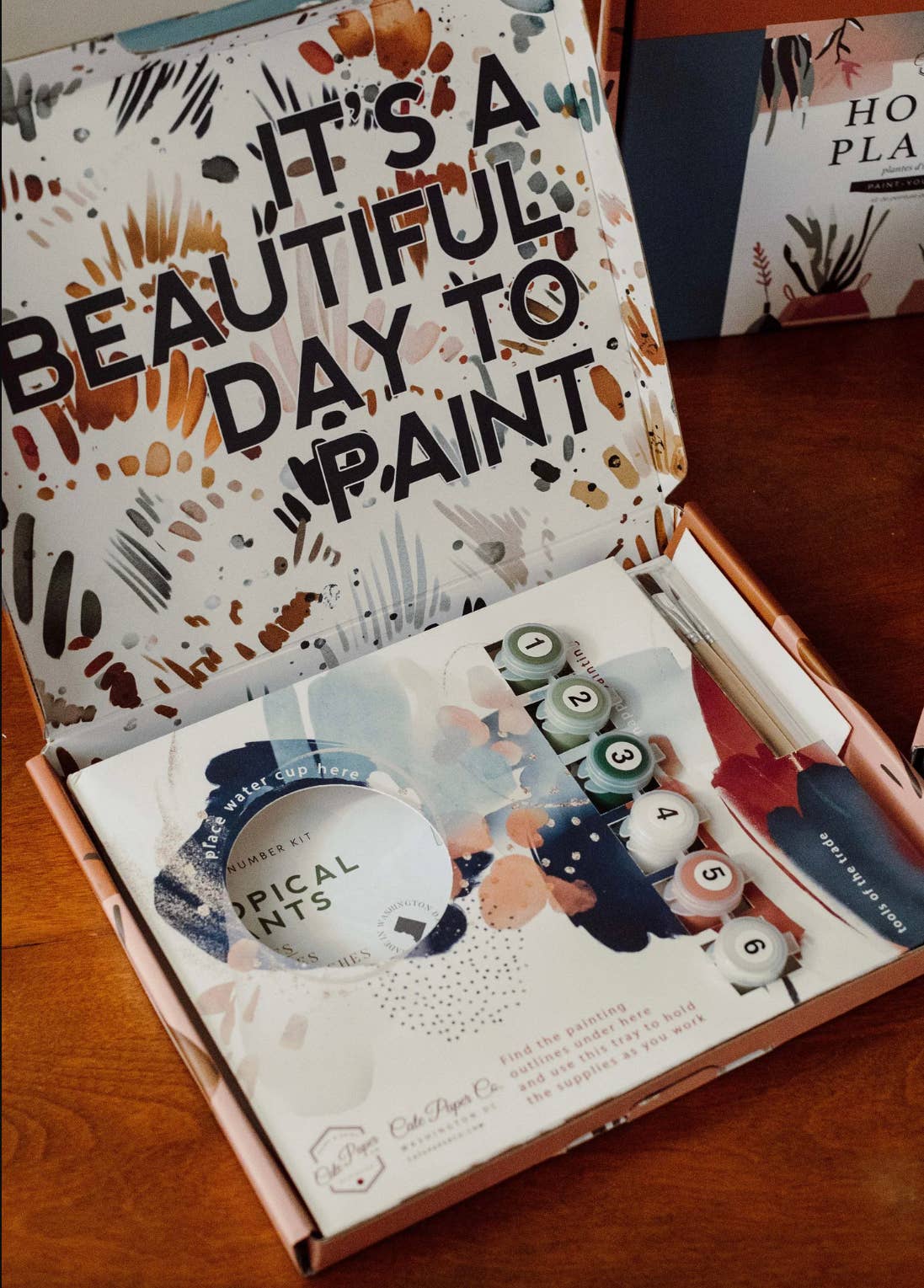 Cate Paper Co. - Field of Poppies Paint-By-Numbers kit
