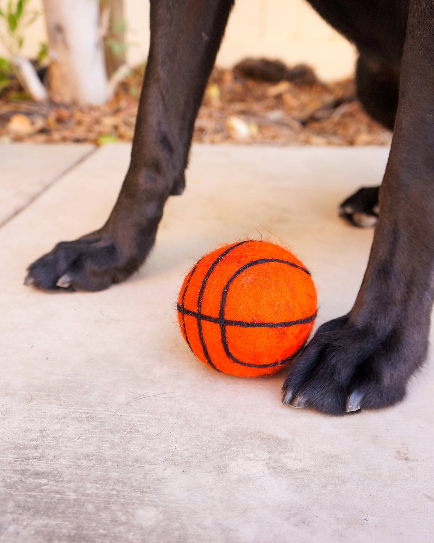 Friendsheep - Dog Pet Toy XL Sport Ball - BASKETBALL FOOTBALL SOCCER: Basketball