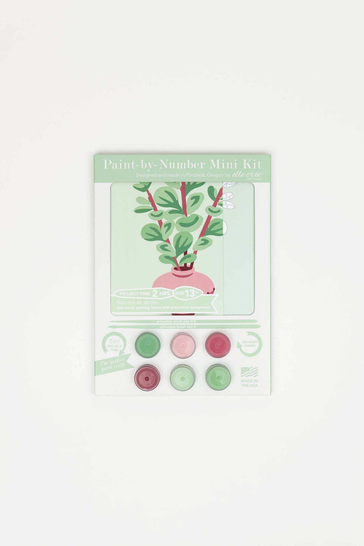 Elle Crée (She Creates) - Succulent Stems MINI Paint-by-Number Kit
