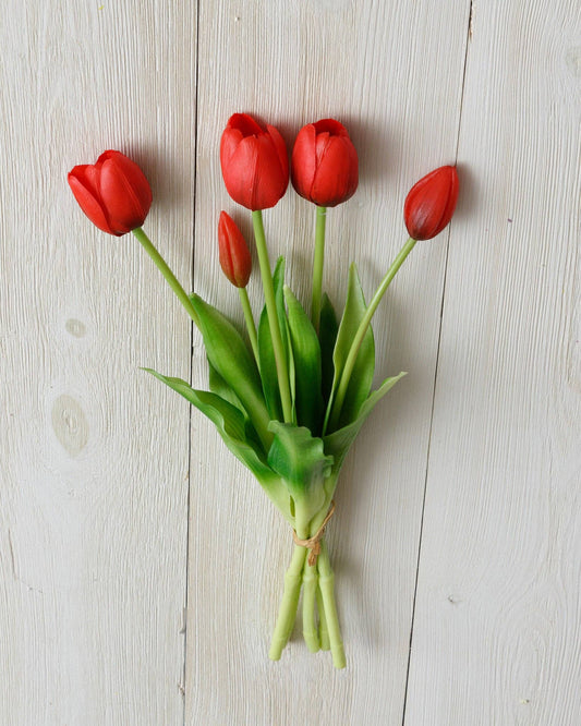 Real Feel Tulip, Red