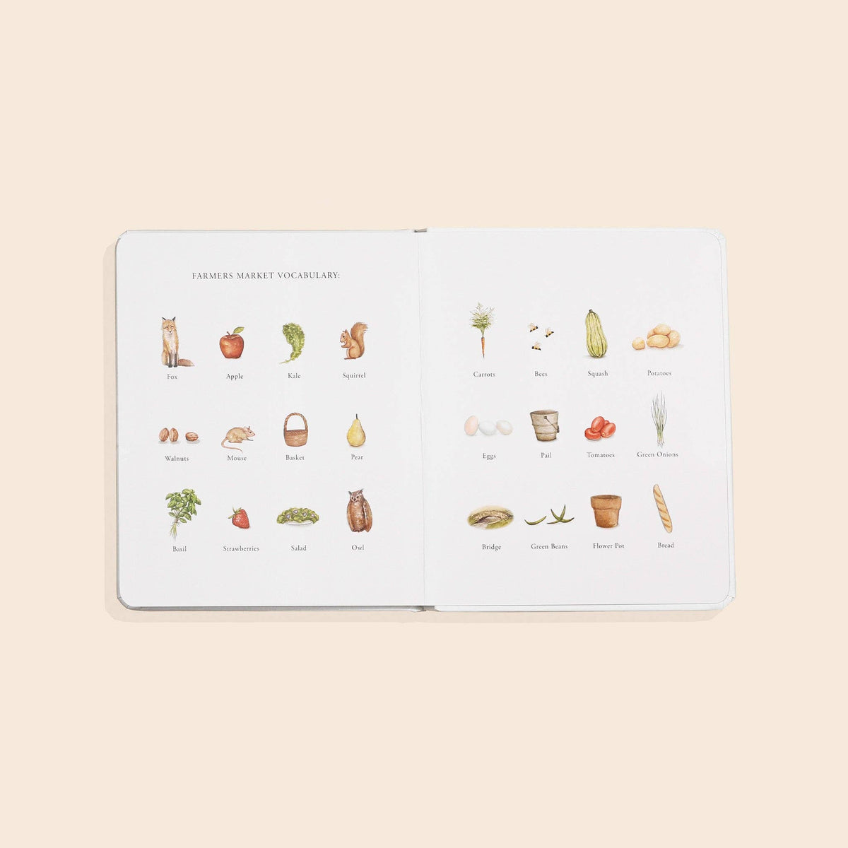 Our Little Adventure to the Farmers Market (Board Book)