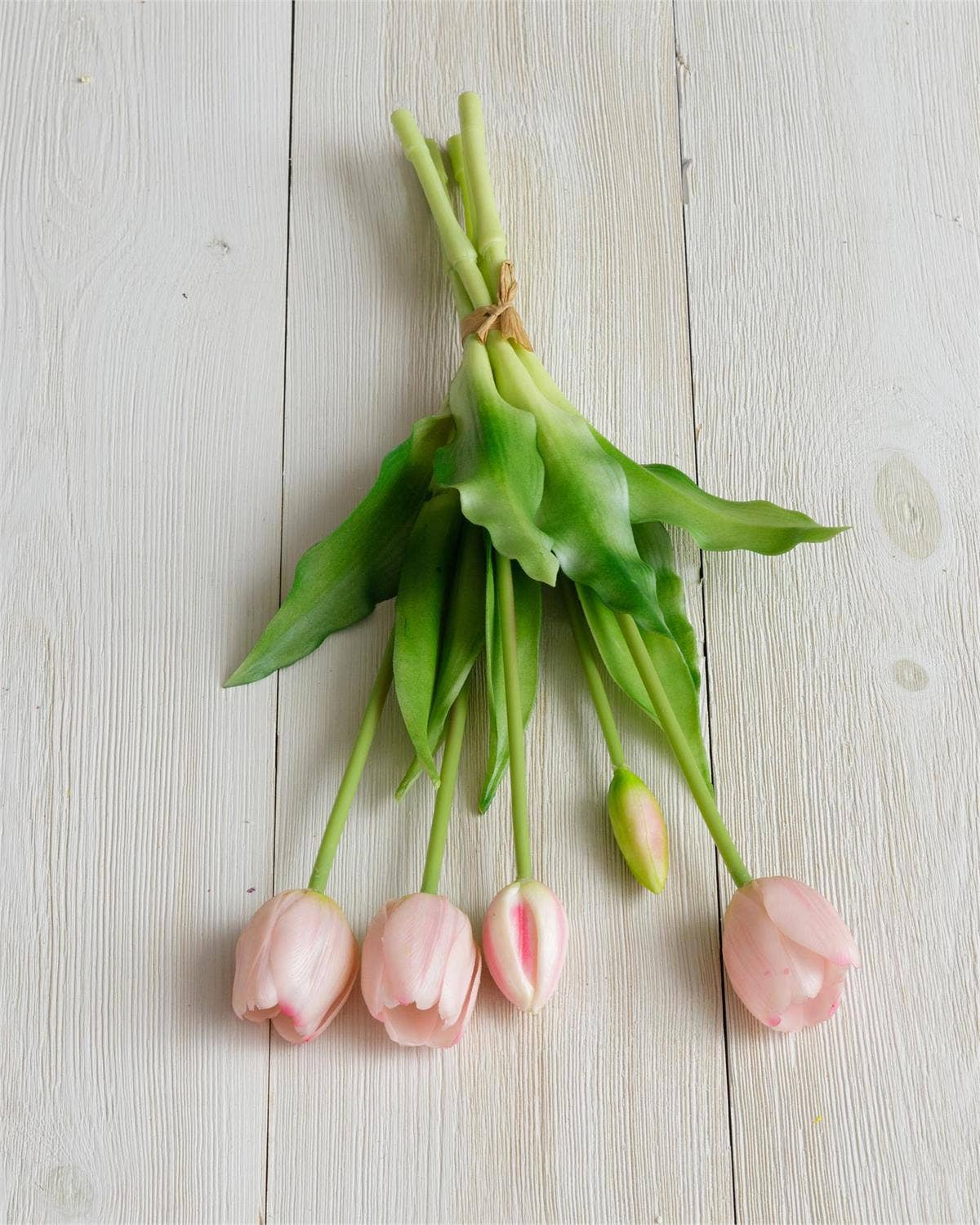 Real Feel Tulip, Light Pink