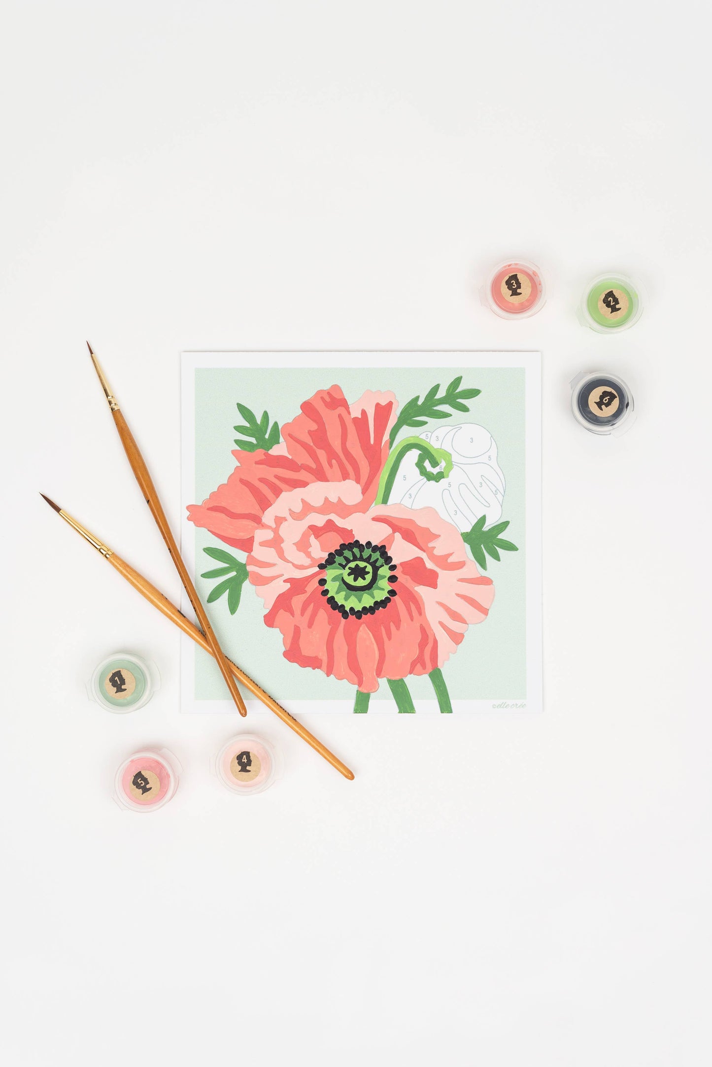 Elle Crée (She Creates) - Poppies MINI Paint-by-Number Kit