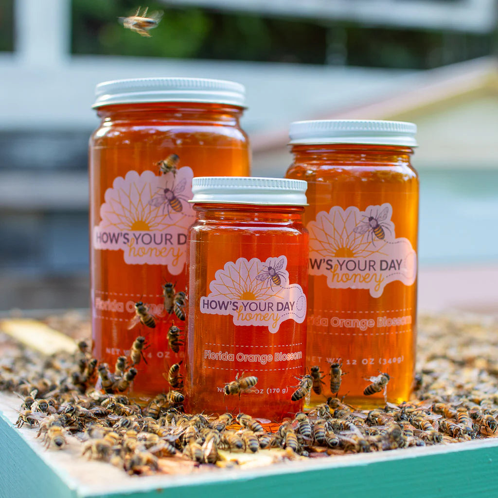 Florida Orange Blossom Honey 6oz