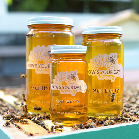Gallberry Honey 6oz