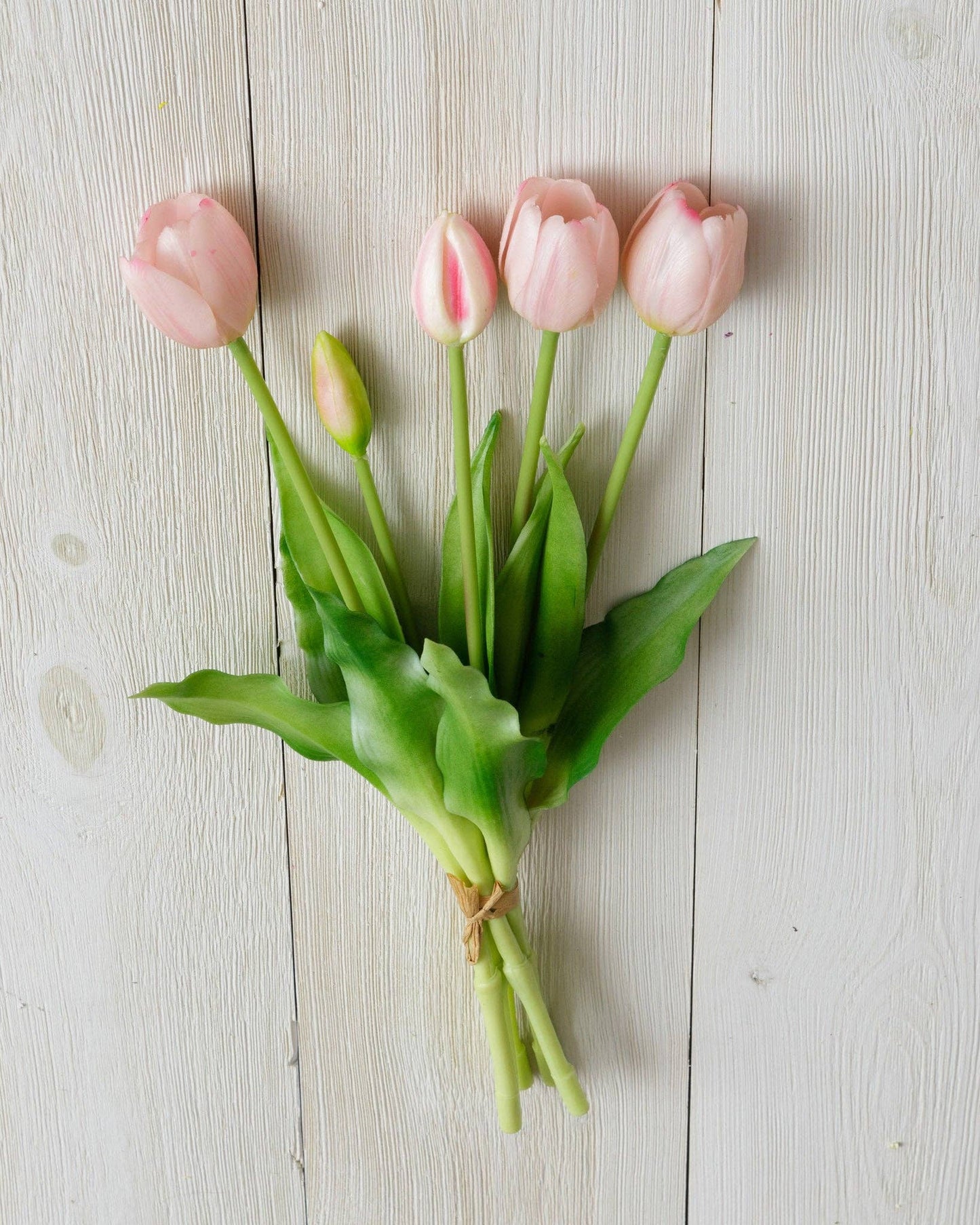 Real Feel Tulip, Light Pink