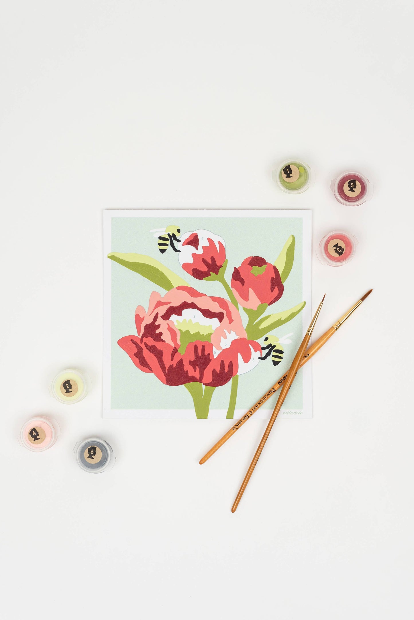Elle Crée (She Creates) - Peonies MINI Paint-by-Number Kit