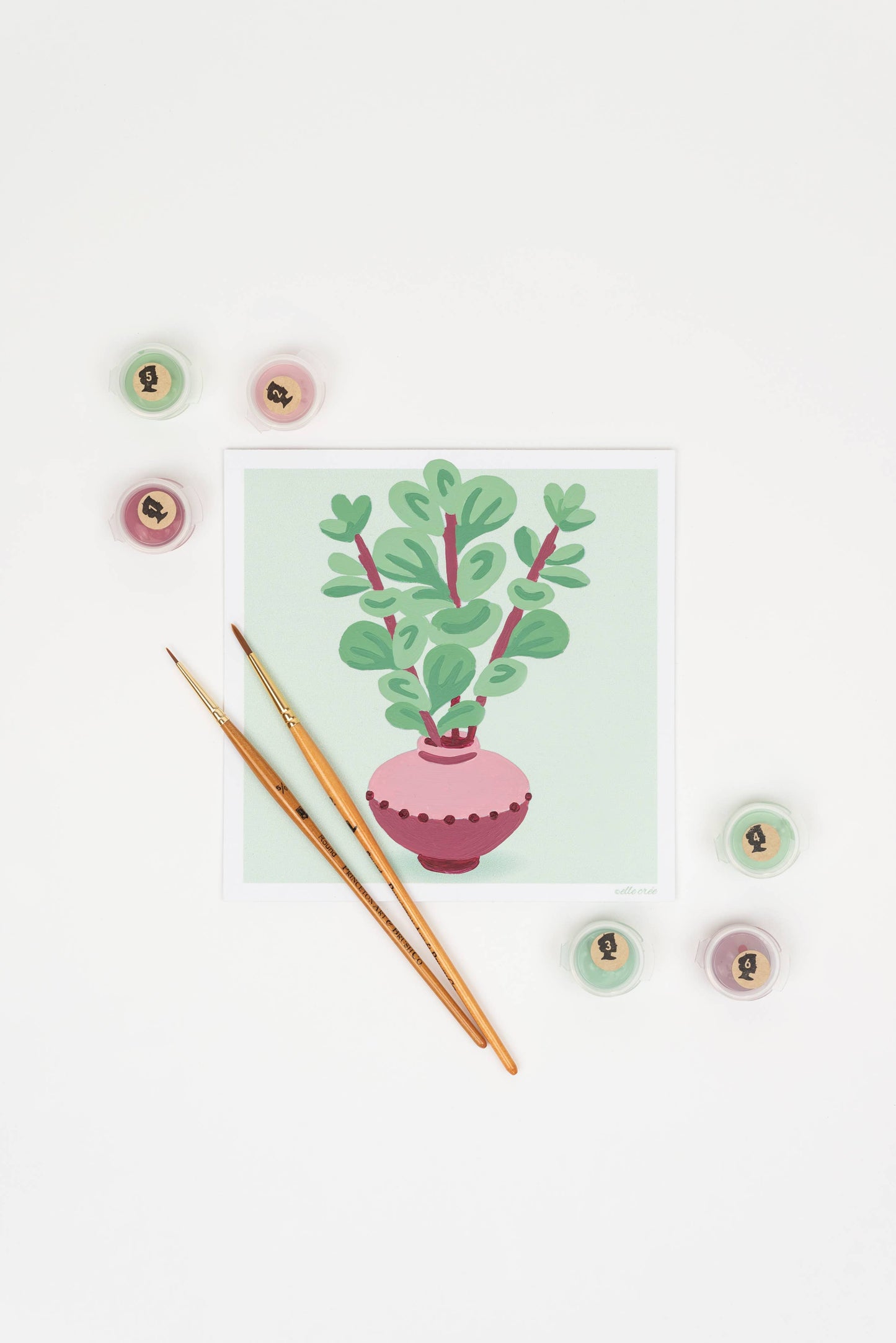 Elle Crée (She Creates) - Succulent Stems MINI Paint-by-Number Kit