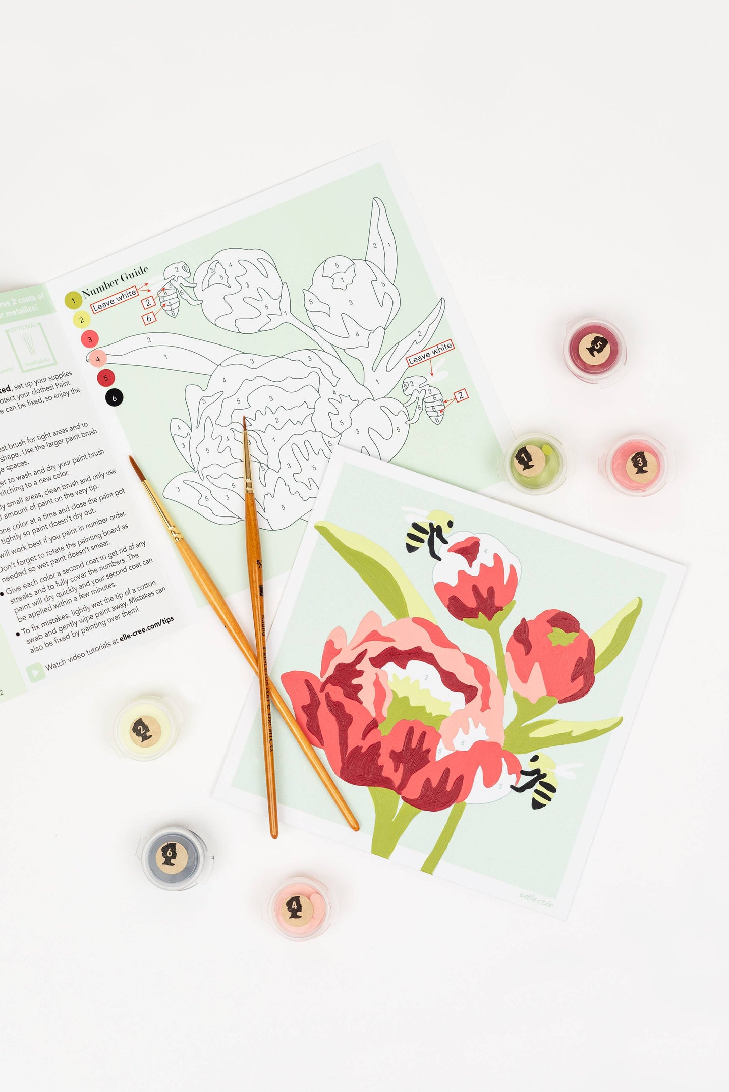 Elle Crée (She Creates) - Peonies MINI Paint-by-Number Kit