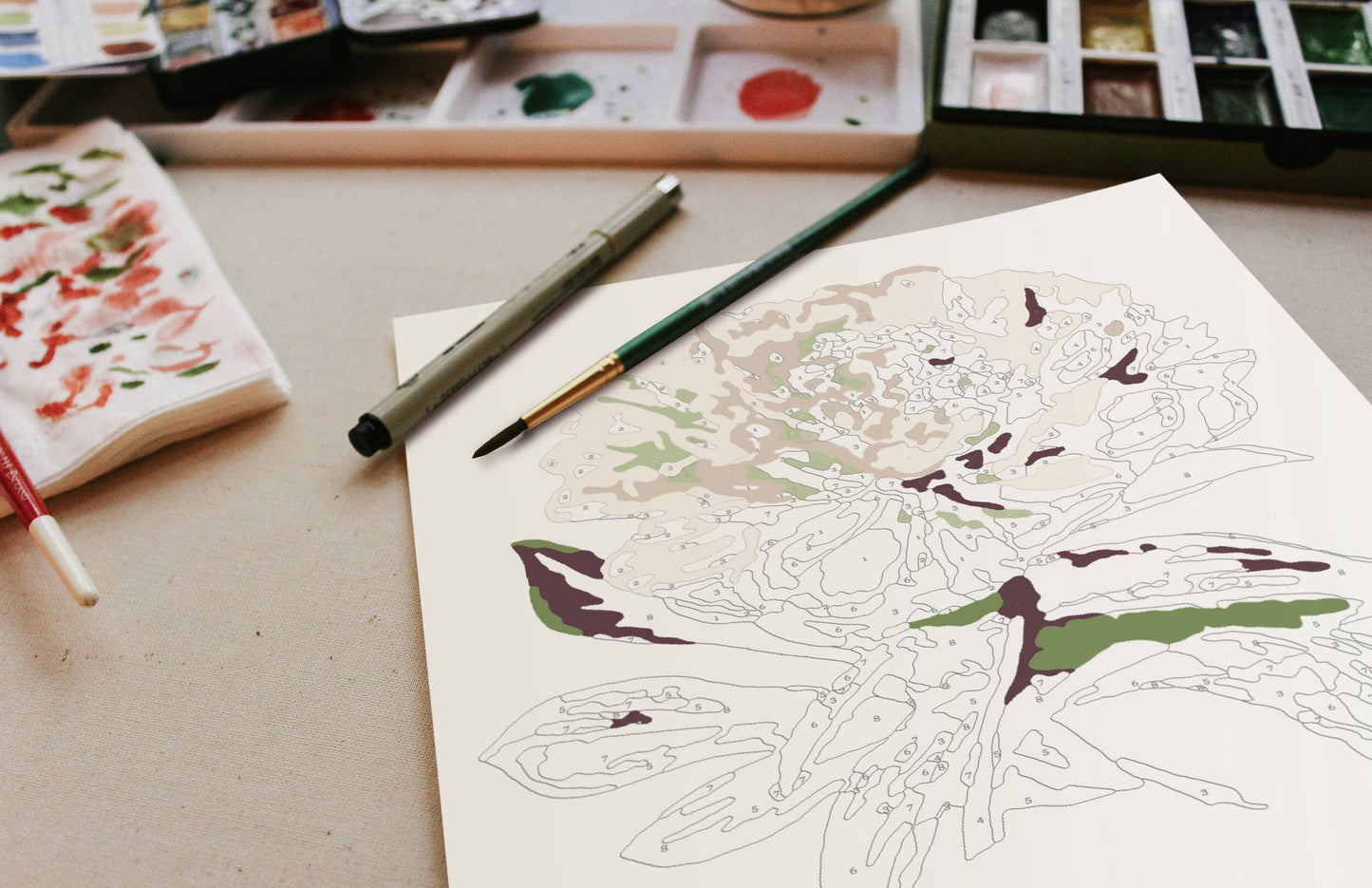 Cate Paper Co. - Peony Blossoms Paint-By-Numbers kit